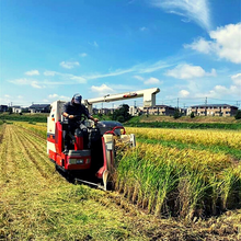 画像をギャラリービューアに読み込む, 【とれたて野菜をお届け!!】バラエティ野菜セット ※毎週水曜日締切、翌週木曜日発送
