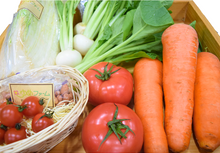 画像をギャラリービューアに読み込む, 【とれたて野菜をお届け!!】バラエティ野菜セット ※毎週水曜日締切、翌週木曜日発送