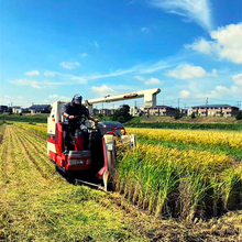 画像をギャラリービューアに読み込む, 【ミルキークイーン 上白米】5kg ※毎週水曜締切、翌週木曜発送