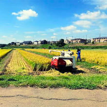 画像をギャラリービューアに読み込む, 【ミルキークイーン 玄米】5kg ※毎週水曜締切、翌週木曜発送