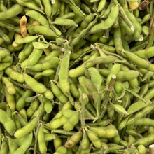 画像をギャラリービューアに読み込む, 【とれたて野菜をお届け!!】バラエティ野菜セット ※毎週水曜日締切、翌週木曜日発送